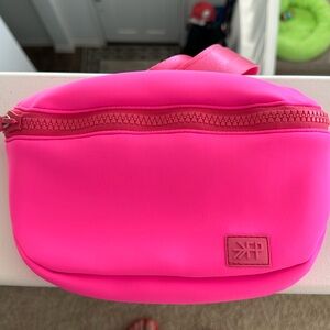 Freshly picked belt bag